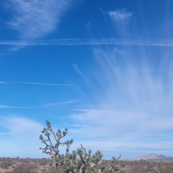 VETERANS DAY SALE - Picture 6 of 11